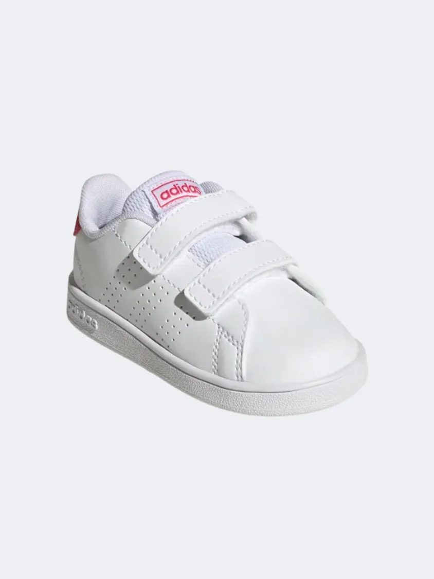 Adidas Advantage Cf Infant-Girls Sportswear Shoes White/Pink