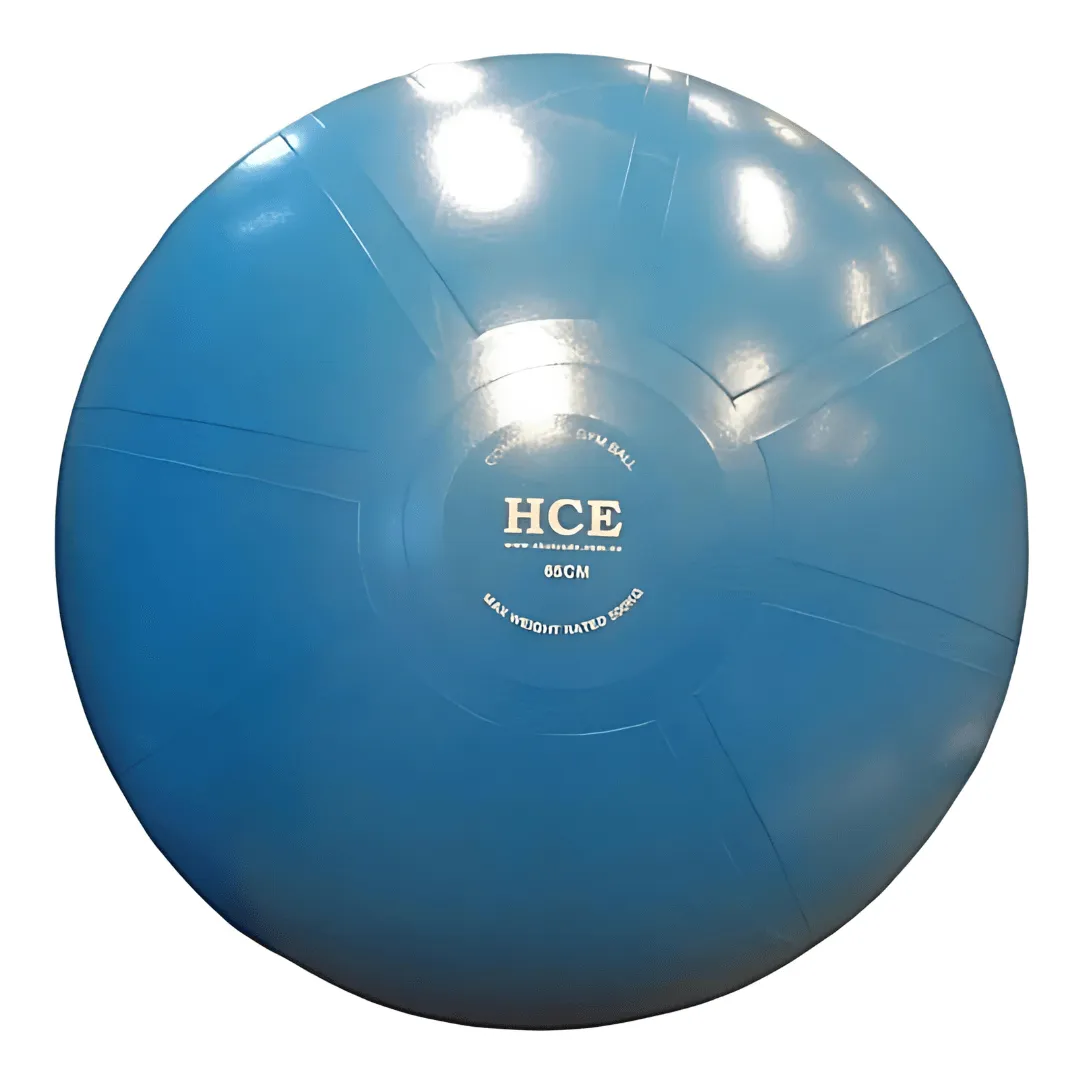 Commercial Swisse Fit Core Ball