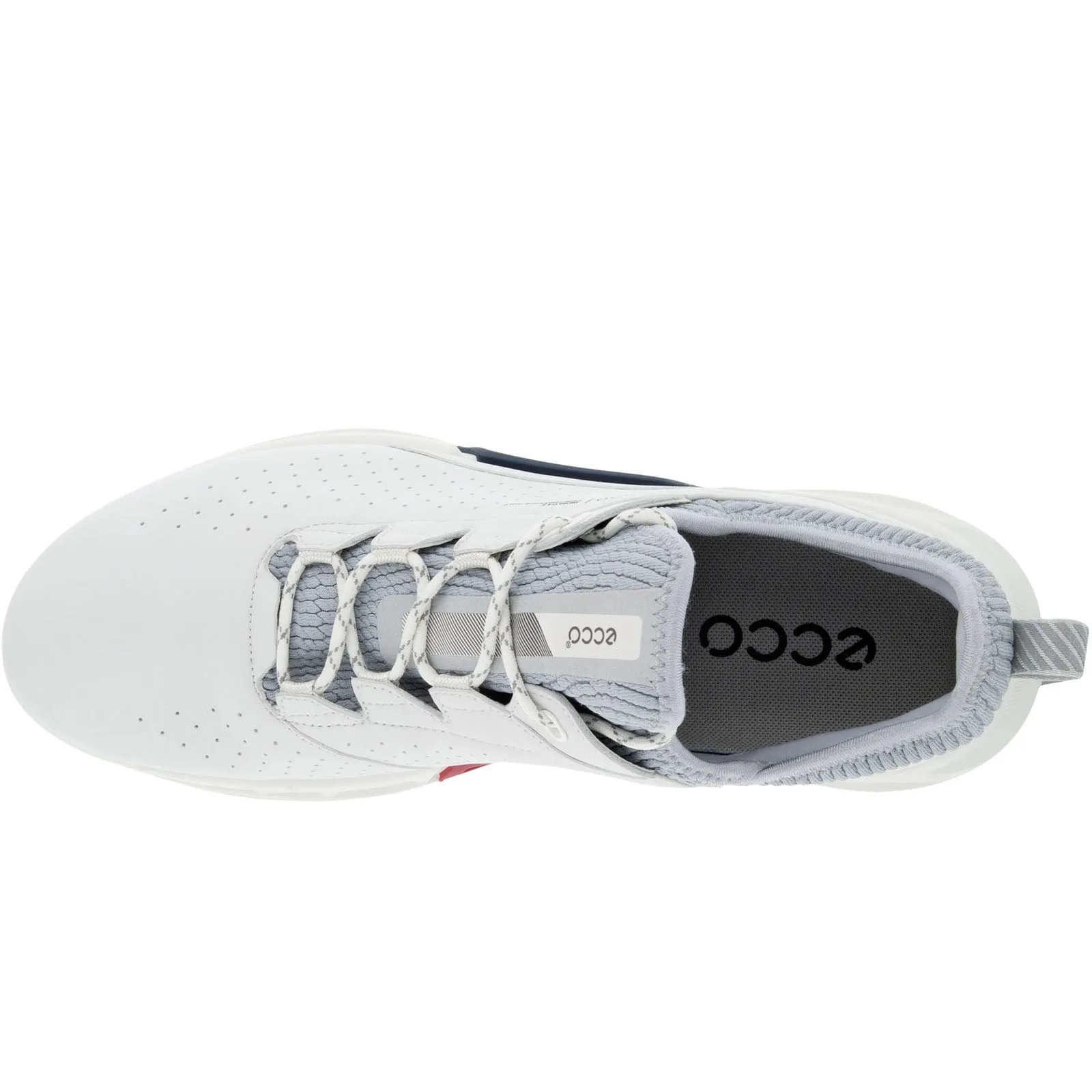 ECCO Mens Biom C4 Leather GORE-TEX Golf Shoes