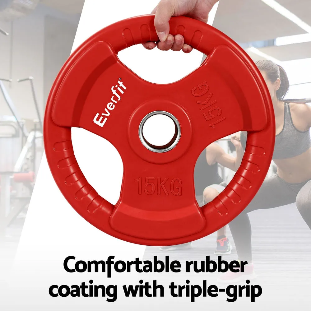 Heavy-Duty Cast Iron 15kgx2 Weight Plates with Triple Grip - Everfit