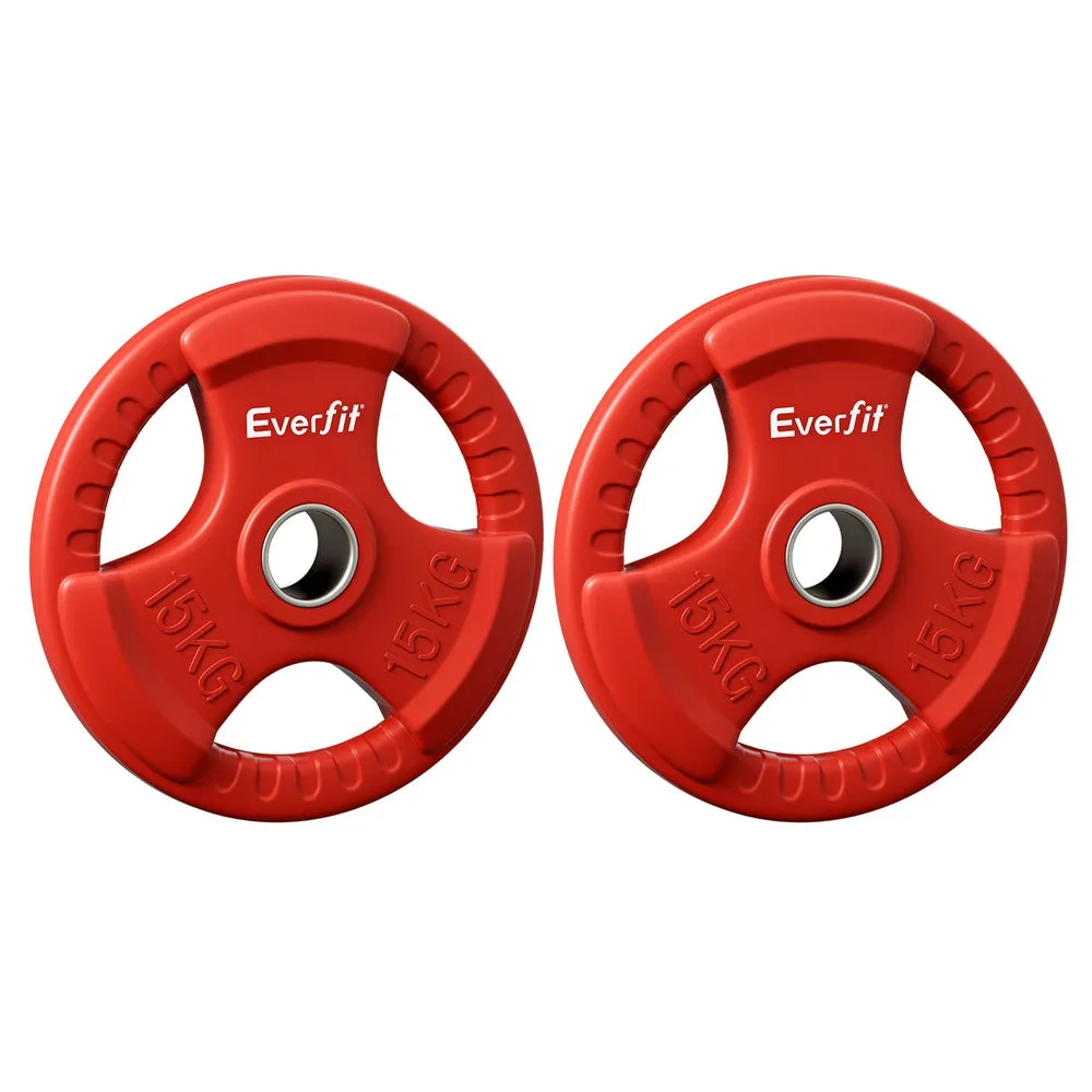 Heavy-Duty Cast Iron 15kgx2 Weight Plates with Triple Grip - Everfit