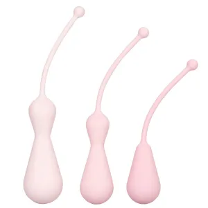 Inspire Weighted Silicone Kegel Training Kit