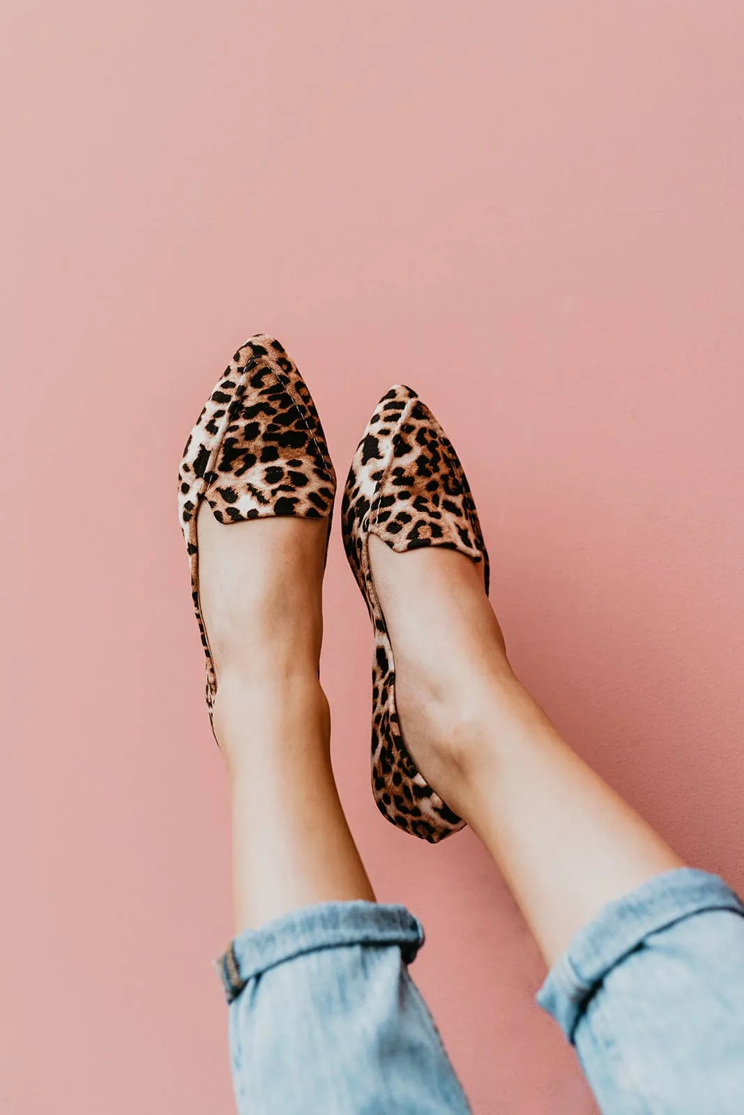 Into the Wild Leopard Flats