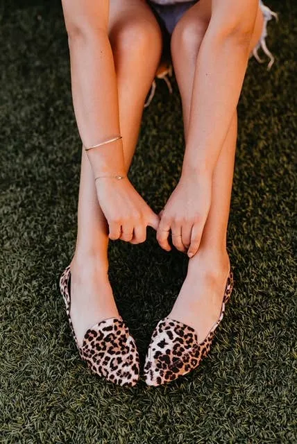 Into the Wild Leopard Flats