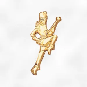 Sports and Chenille Pins - Majorette