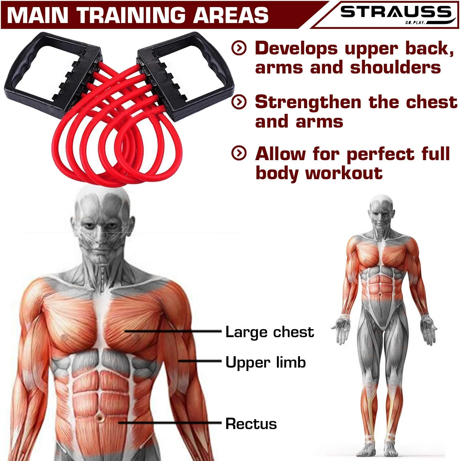 Strauss Chest Expander with 5 Springs and Yoga Soft Chest Expander