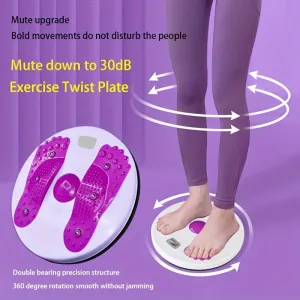 Twist Board for Weight Loss Body Shaping and Balance Training